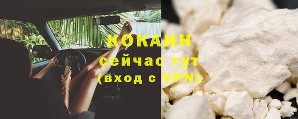 СК Богородск