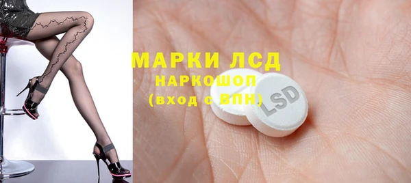 PSILOCYBIN Белокуриха