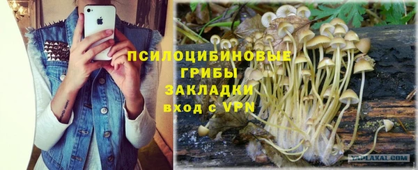 а пвп мука Беломорск