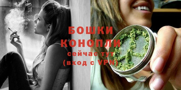 ГАЛЛЮЦИНОГЕННЫЕ ГРИБЫ Покров
