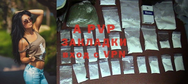 PSILOCYBIN Белокуриха