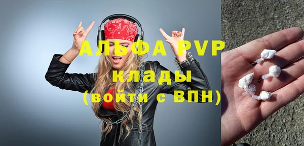 PSILOCYBIN Белокуриха