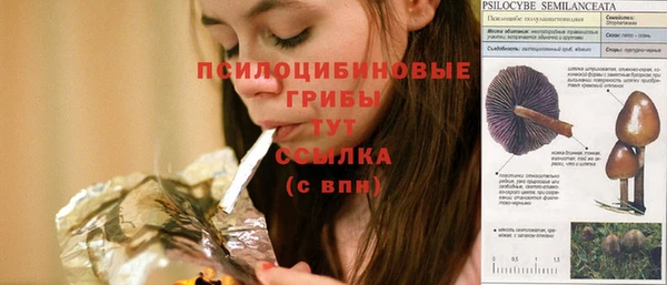 СК Богородск