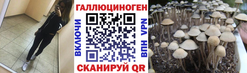 Галлюциногенные грибы прущие грибы  где можно купить   Константиновск 